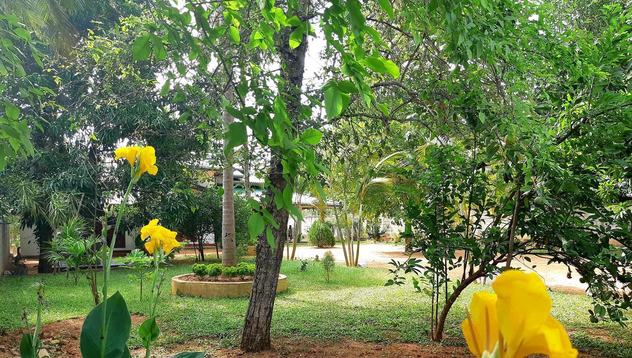Tamarind Tamarind Resort, Tourist Board Approved Хабарана Экстерьер фото